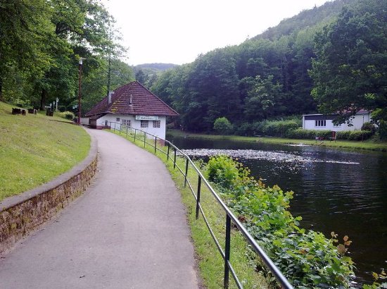 Barenlochweiher