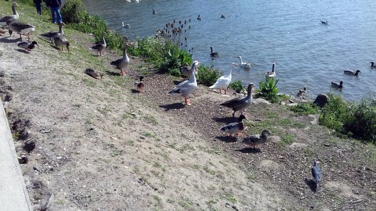 Les Berges de la Liane