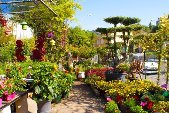 Jardinerie Farigoulette