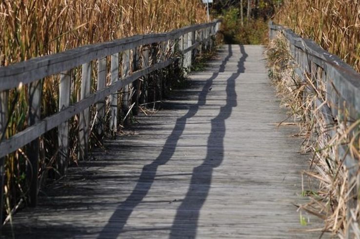 Lynde Shores Conservation Area