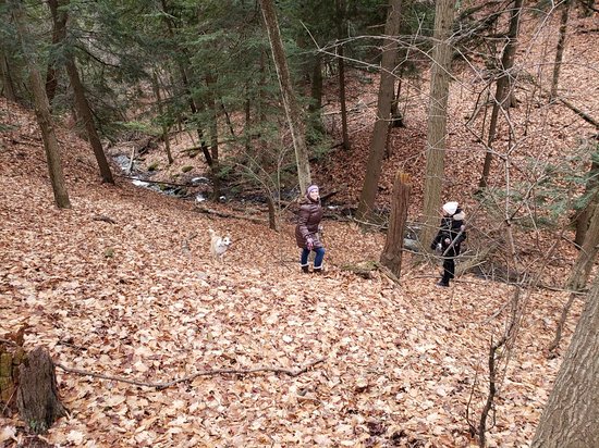 Outdoor Pictures 1