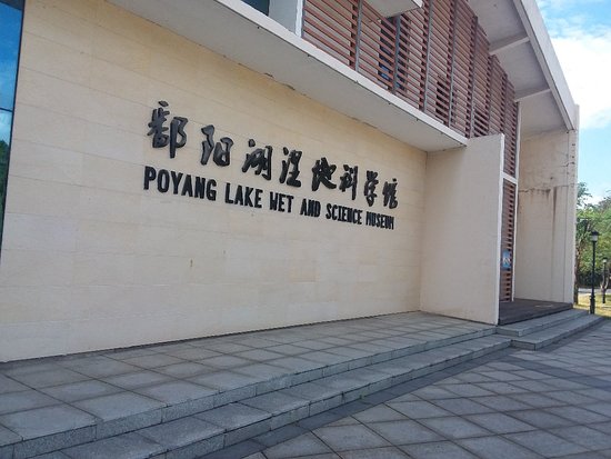 Poyang Hukou National Forest Park