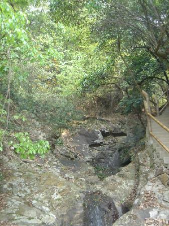 Mt. Yashan Forest Park