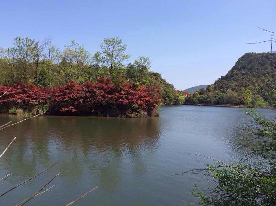 Dongjiang River Source