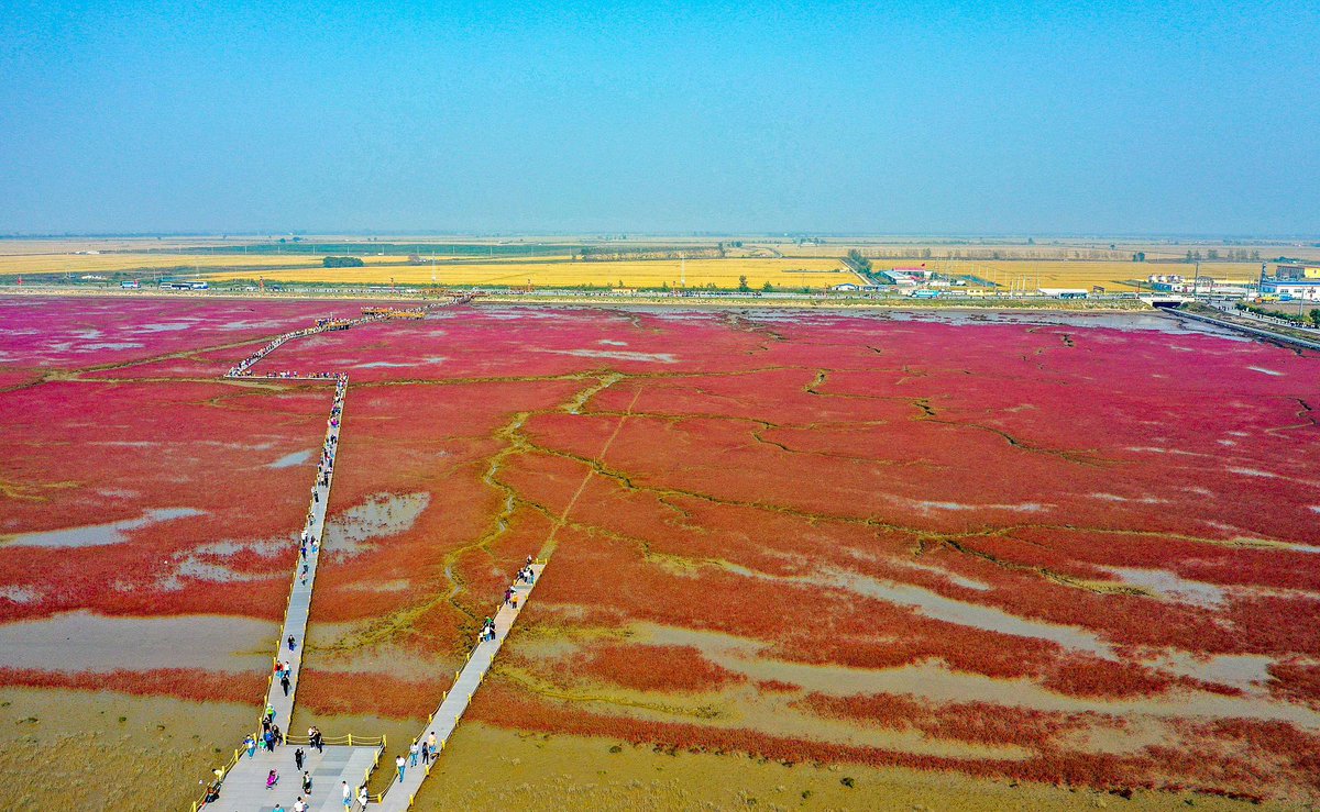 DaShang ZhongYang ShangYeJie