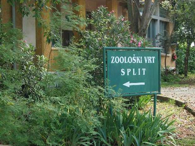 Split Zoo