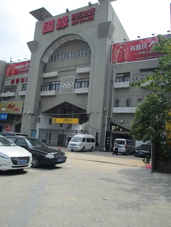 Psycho Cat's Paradise