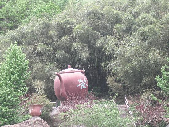 Yangzi Valley