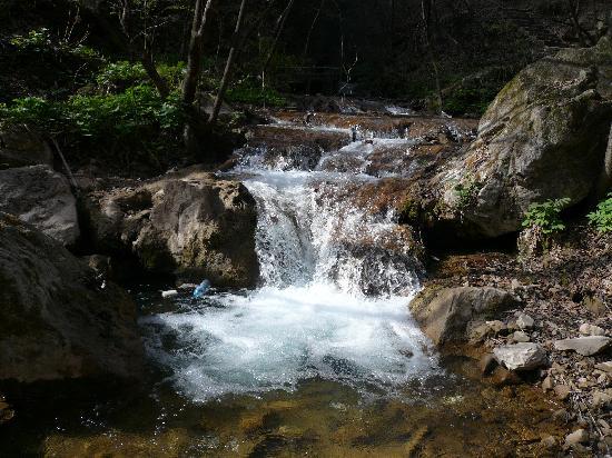 Chongdu Ditch