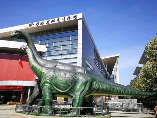 Geological Museum of Zhengzhou