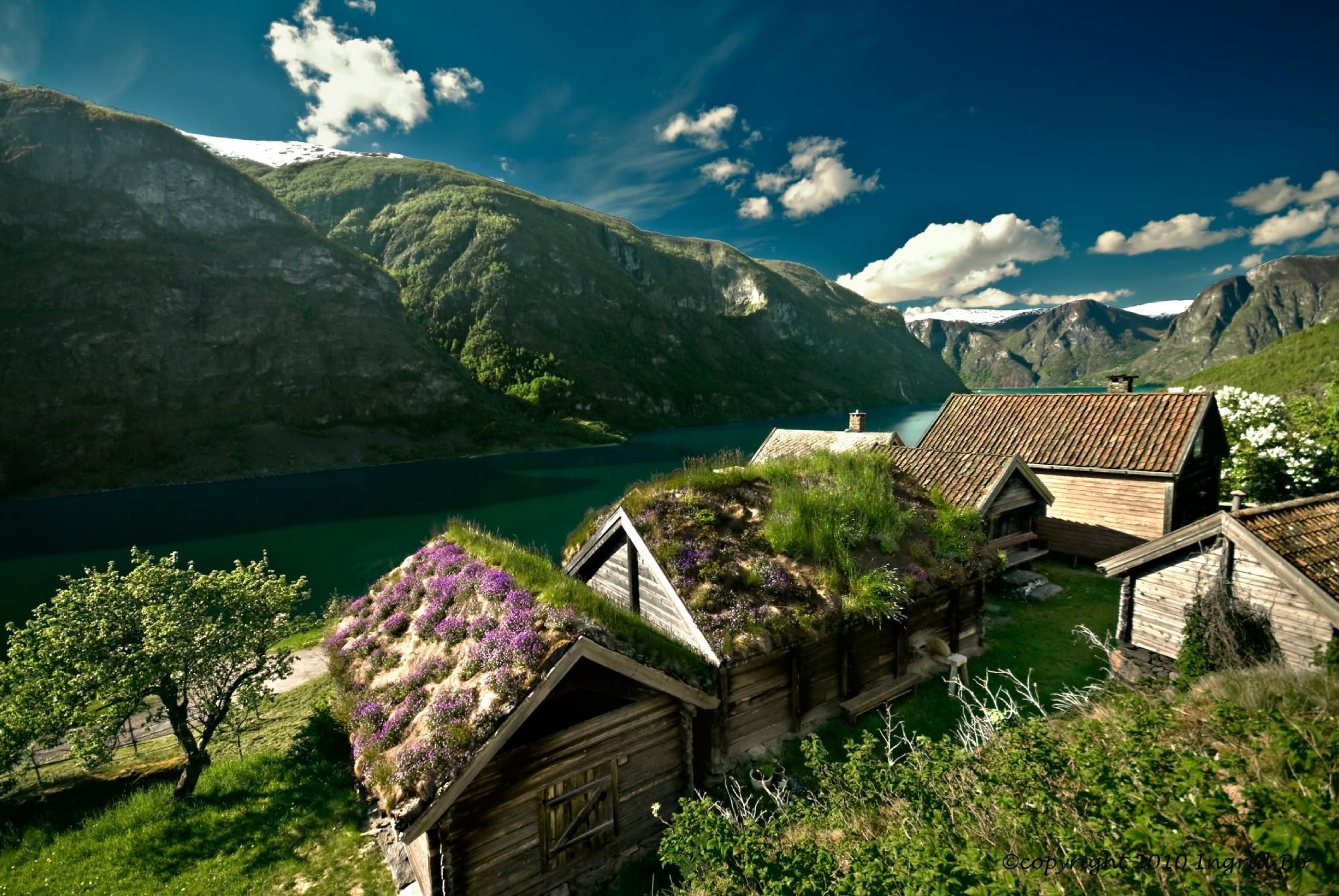 Outdoor Pictures 1