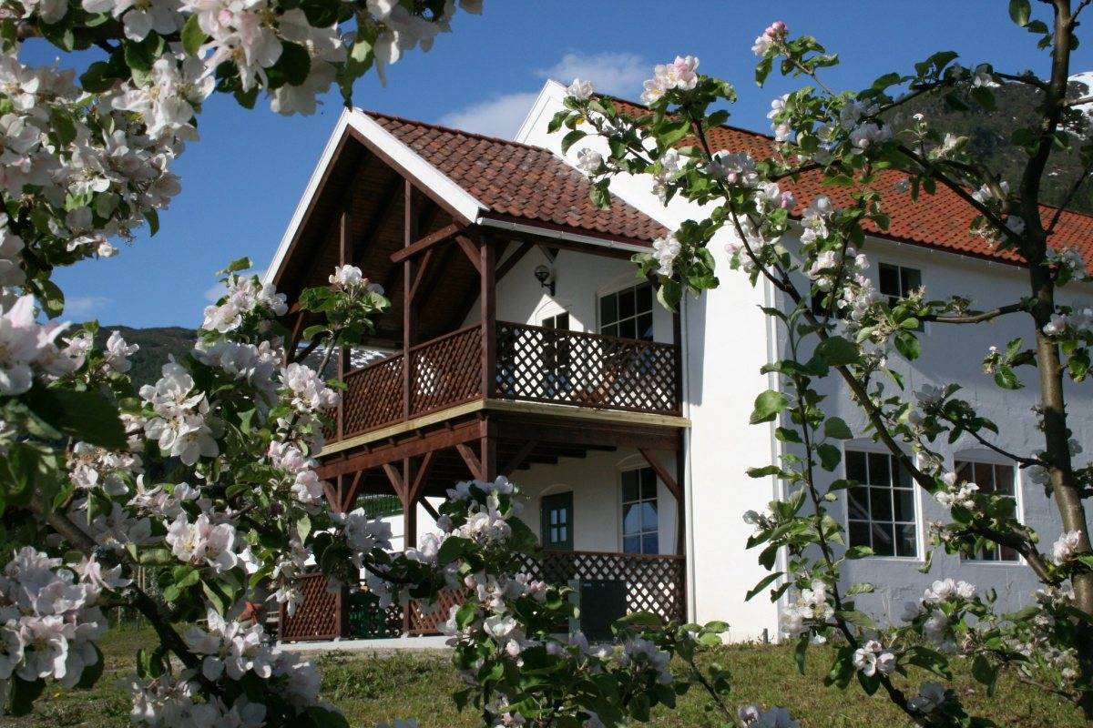 The Cider House - Cidertasting and Shop