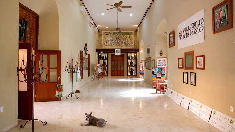 Casa de los Venados