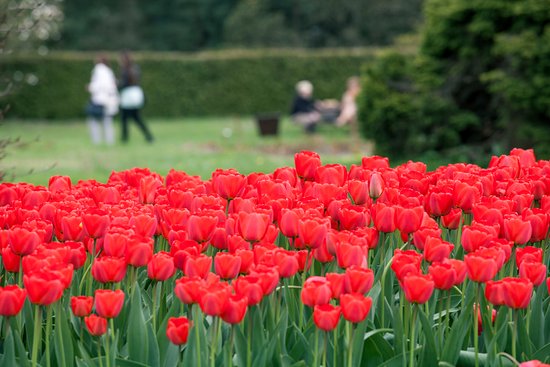 Ogrod Botaniczny w Lodzi