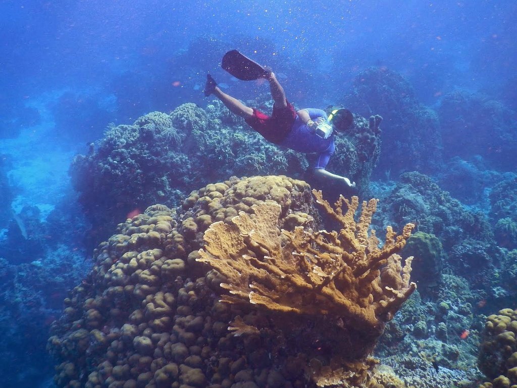 Columbia Reef