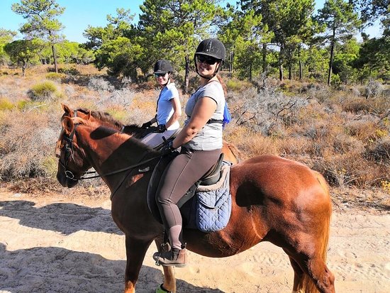 Pinetrees Horse Riding