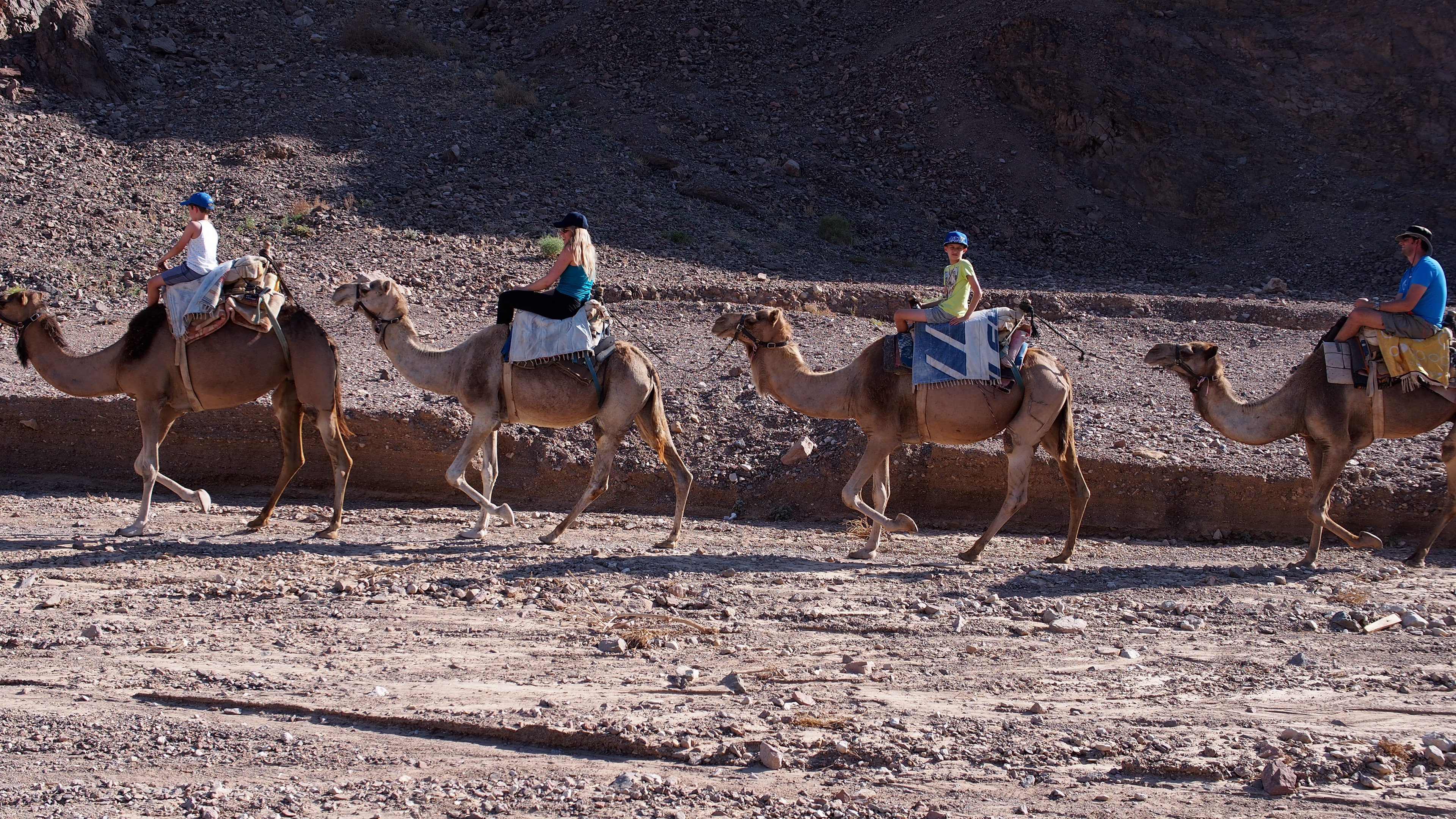 Camel Ranch Eilat