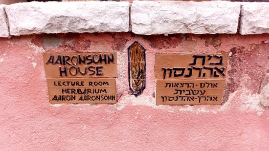 Beit Aaronsohn - N.I.L.I. Museum