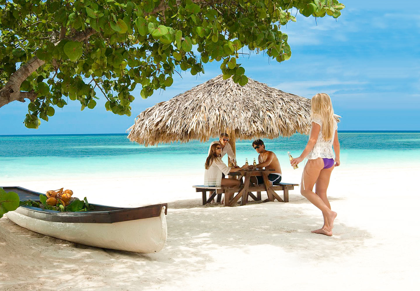 Now Or Never Vacation Tours