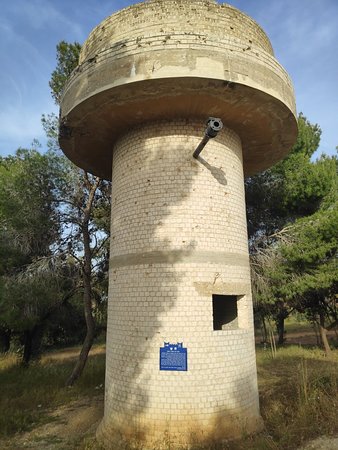 Nitsanim Dunes Nature Reserve