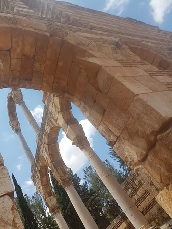 Garden of Forgiveness