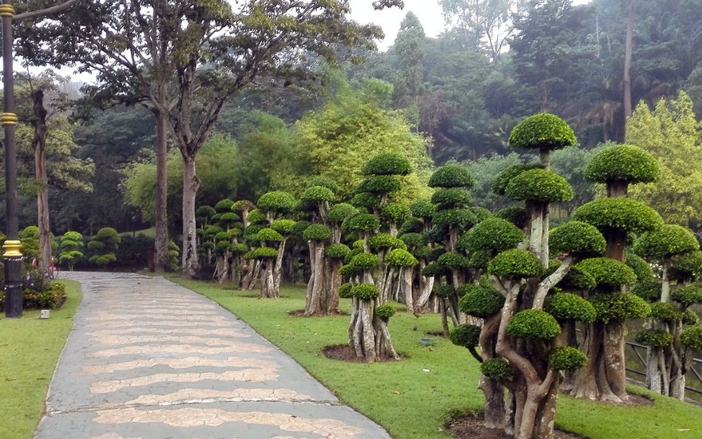 Perdana Botanical Garden