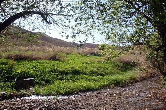 Salook National Park