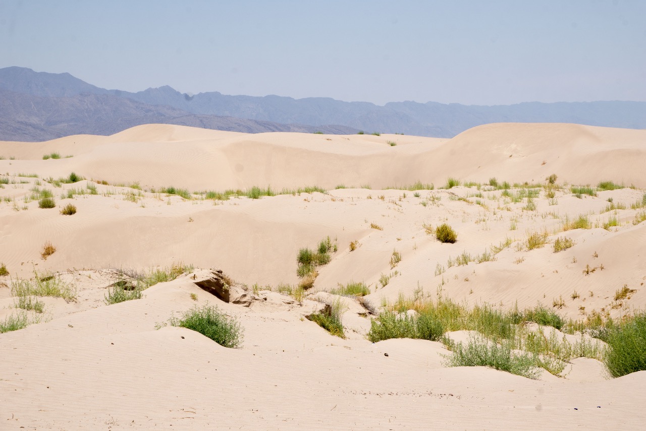 Dunas de Bilbao