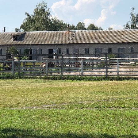 Ostrich Farm Dolina Strausov