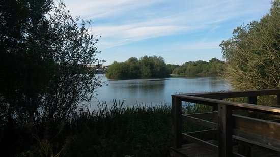 Ditchford Lakes and Meadows Nature Reserve
