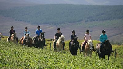 Ballahimmin Riding & Pony Trekking Centre