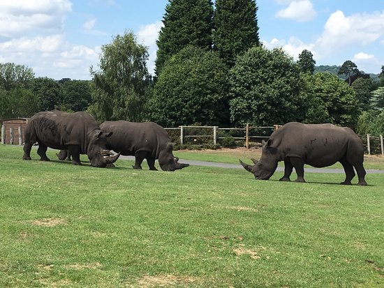 West Midland Safari Park