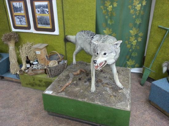 The Forest Museum
