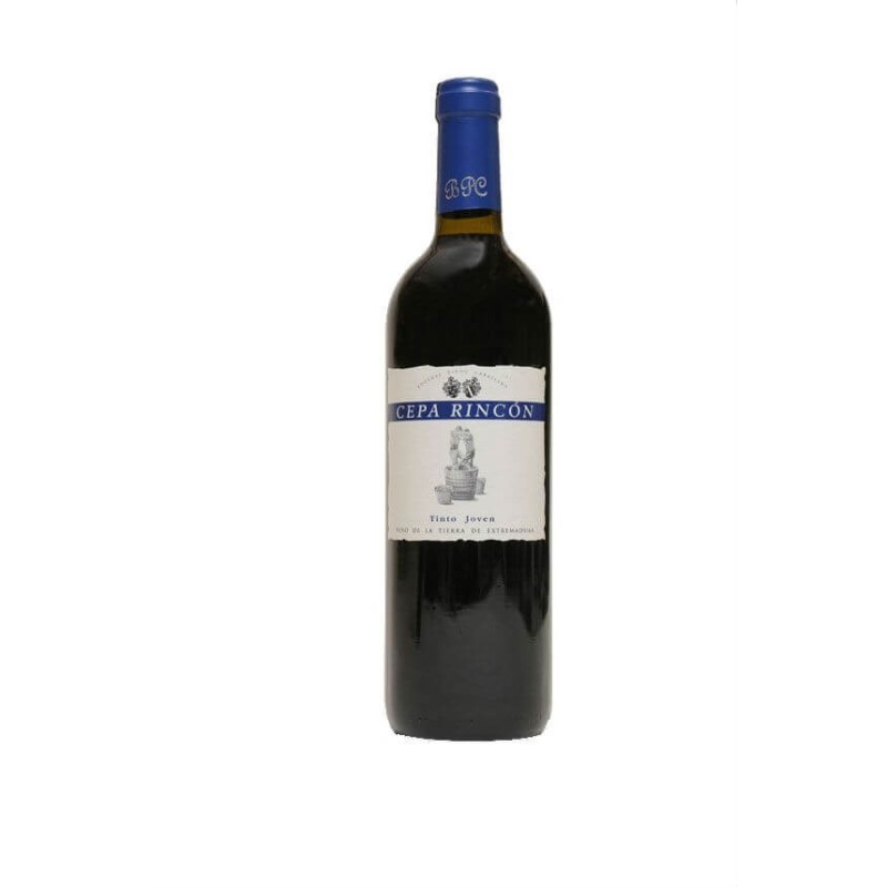 Tinto Wine Shop