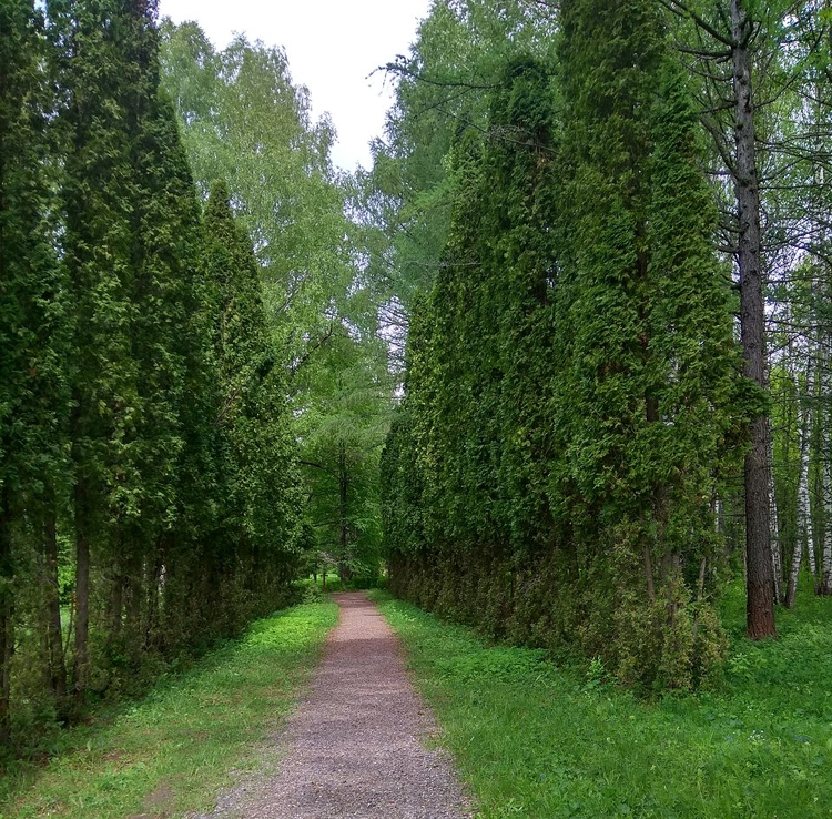 Arboretum Volga-Kama Biosphere Reserve