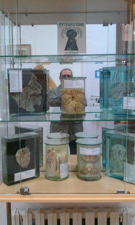Museum of uyezdnoy meditsiny named after V. M. Bekhtereva