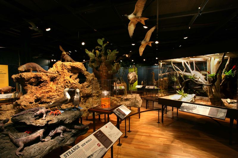 Geological Museum of Natural History