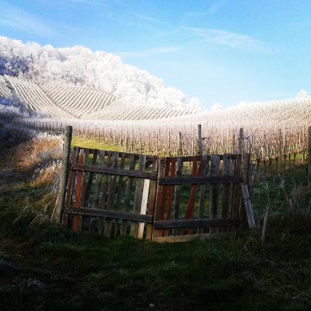 Ramsak Winery