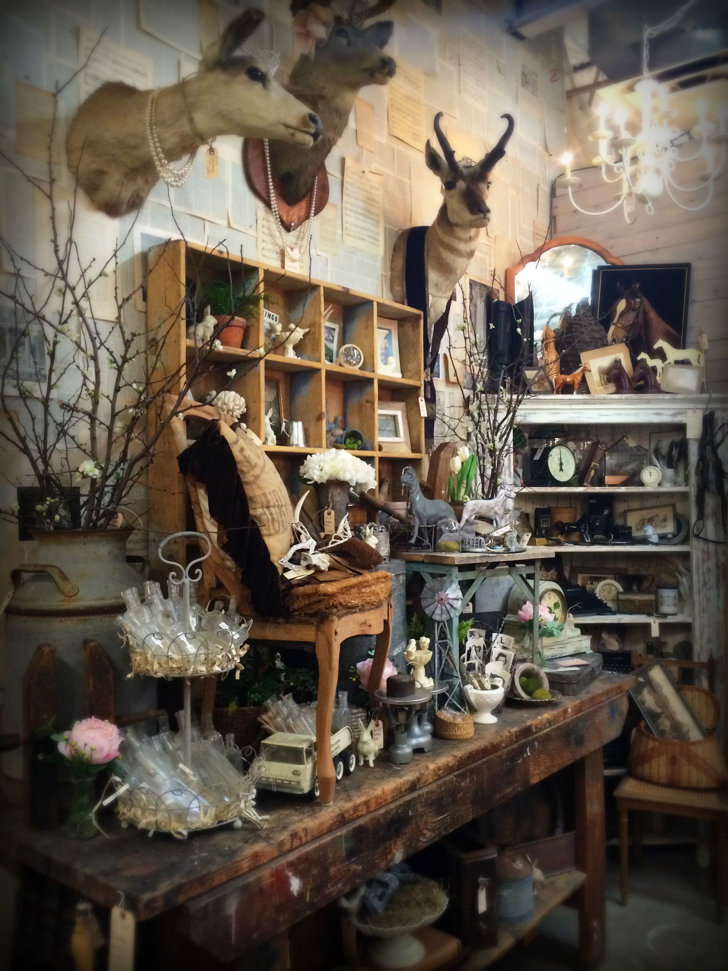 Vintage Shop