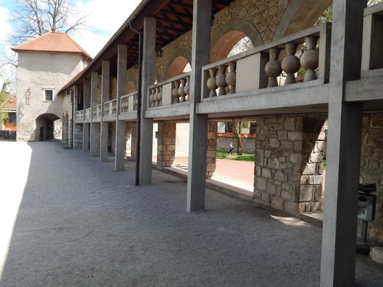 Ribnica Castle and Museum