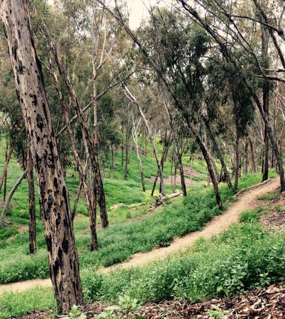 Hosp Grove Trails