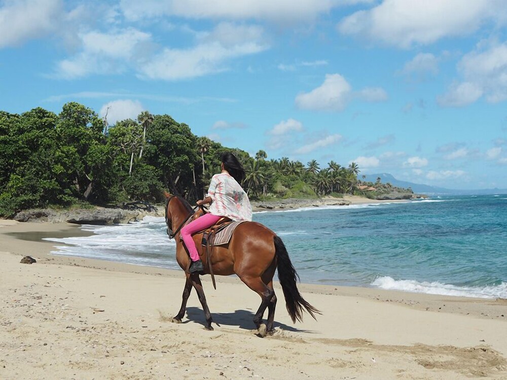 Sea Horse Ranch