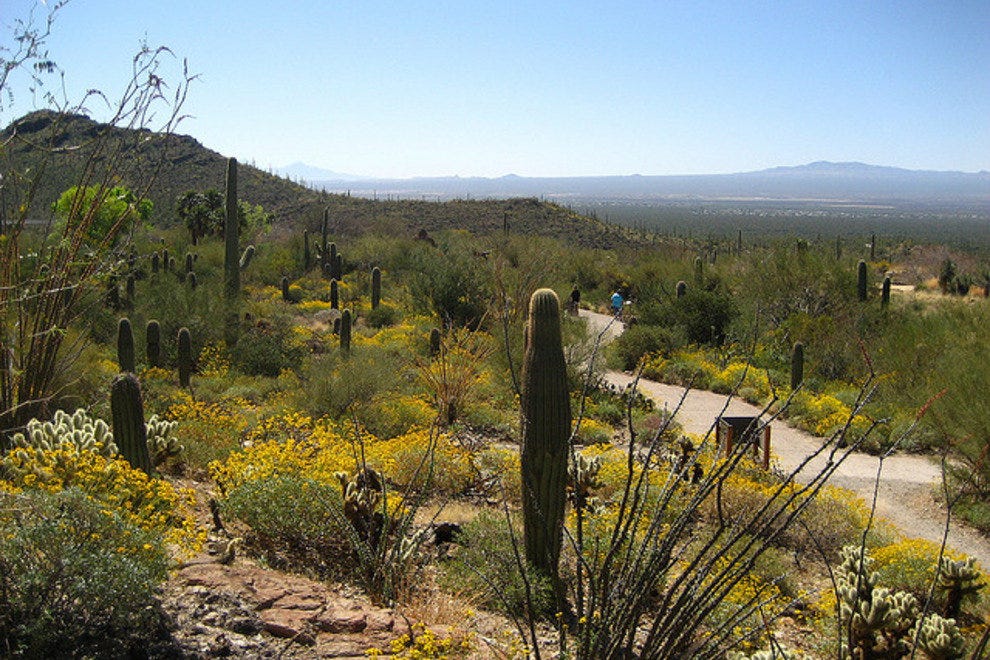 Arizona-Sonora Desert Museum