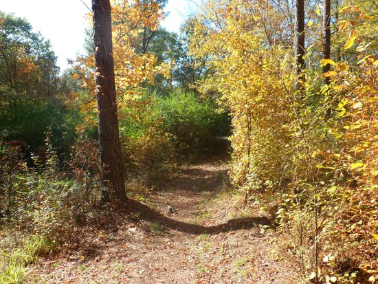 Cedar Glades