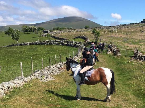Snowdonia Riding Stables