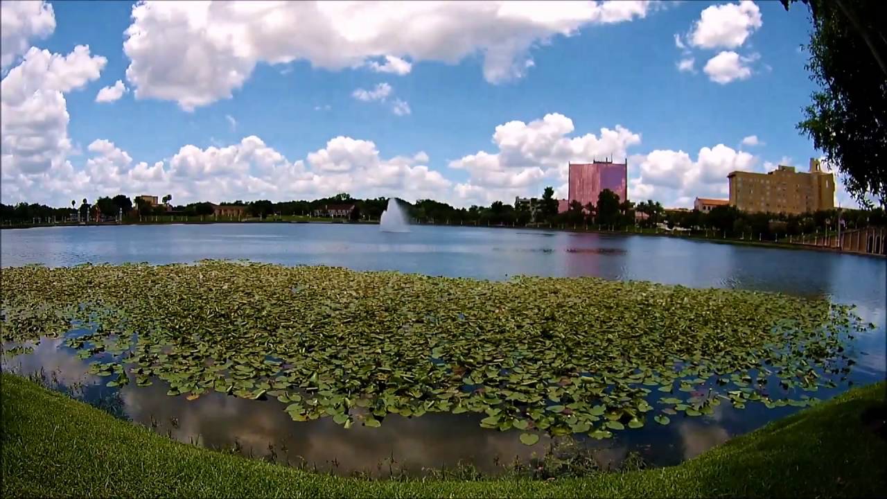 Lake Mirror