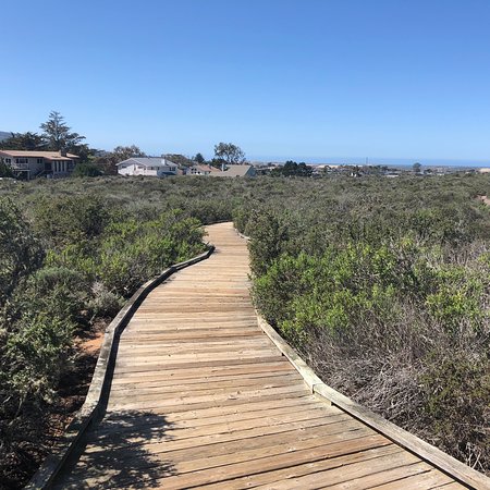 Elfin Forest Preserve