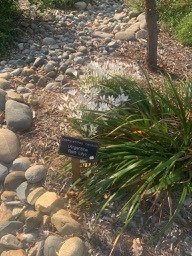Sherwood Demonstration Garden
