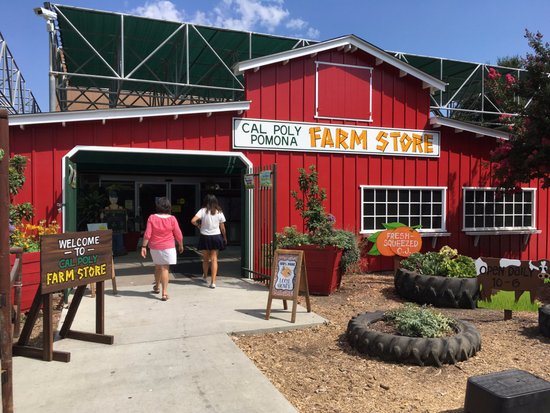 Farm Store at Kellogg Ranch