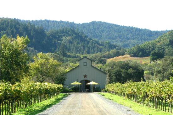 Amista Vineyards